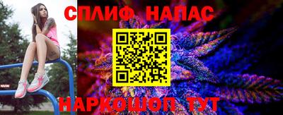 гидропоника Славгород