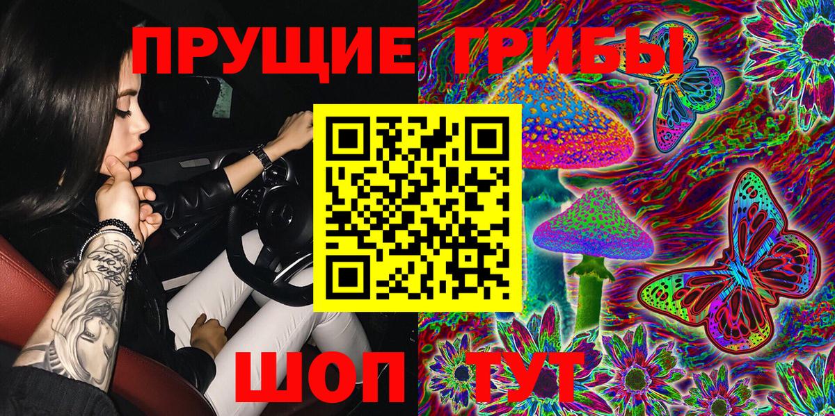 Галлюциногенные грибы Psilocybe Новоалтайск