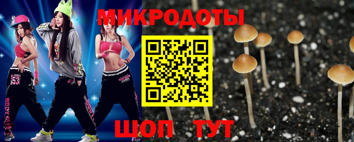 Галлюциногенные грибы Magic Shrooms  Вход с VPN  Новоалтайск 